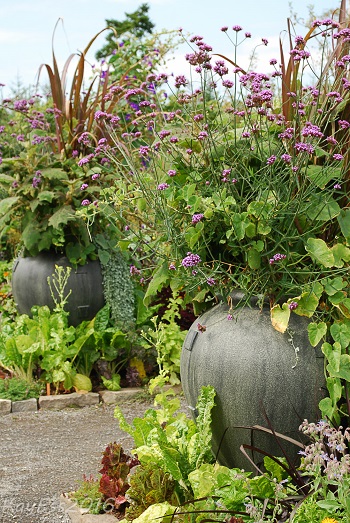 Plant Containers Garden Design