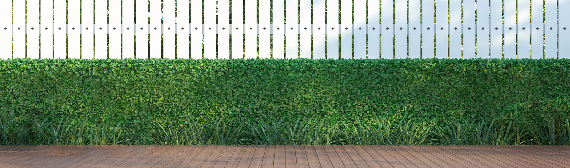 A green hedge in front of a white fence